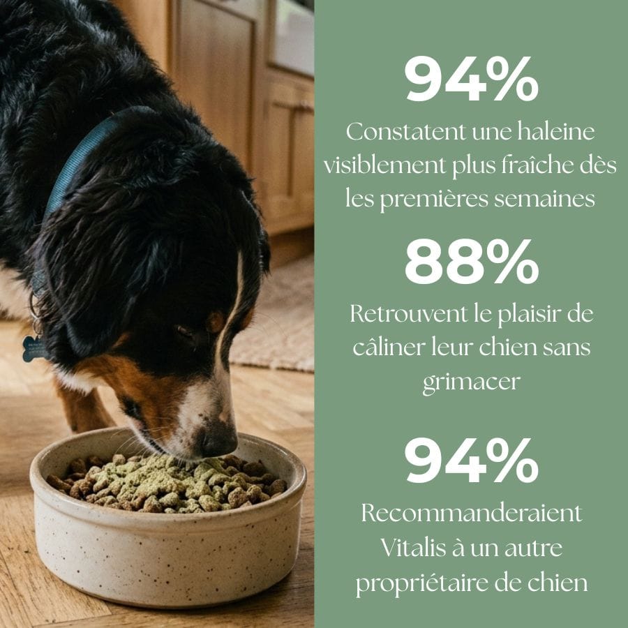 Vitalis — Poudre Dentaire Haleine Fraîche & Dents Saines