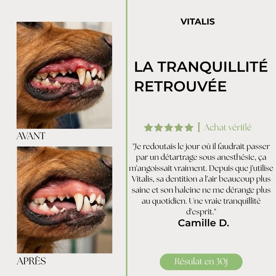 Vitalis — Poudre Dentaire Haleine Fraîche & Dents Saines