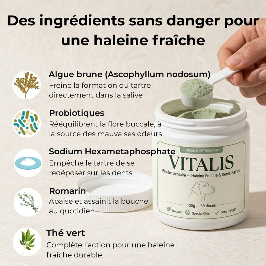 Vitalis — Poudre Dentaire Haleine Fraîche & Dents Saines