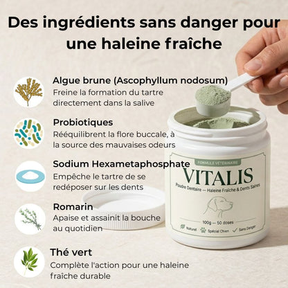 Vitalis — Poudre Dentaire Haleine Fraîche & Dents Saines