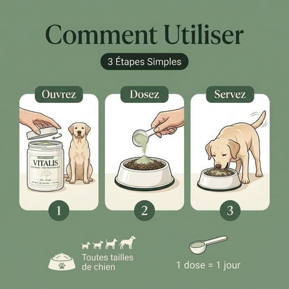 Vitalis — Poudre Dentaire Haleine Fraîche & Dents Saines